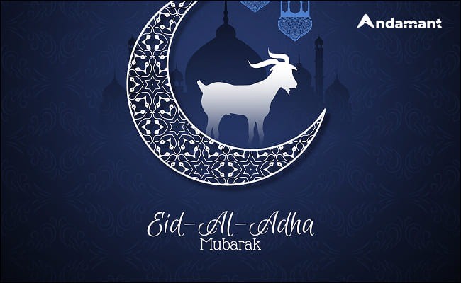 Selamat Hari Raya Idul Adha 1447 H