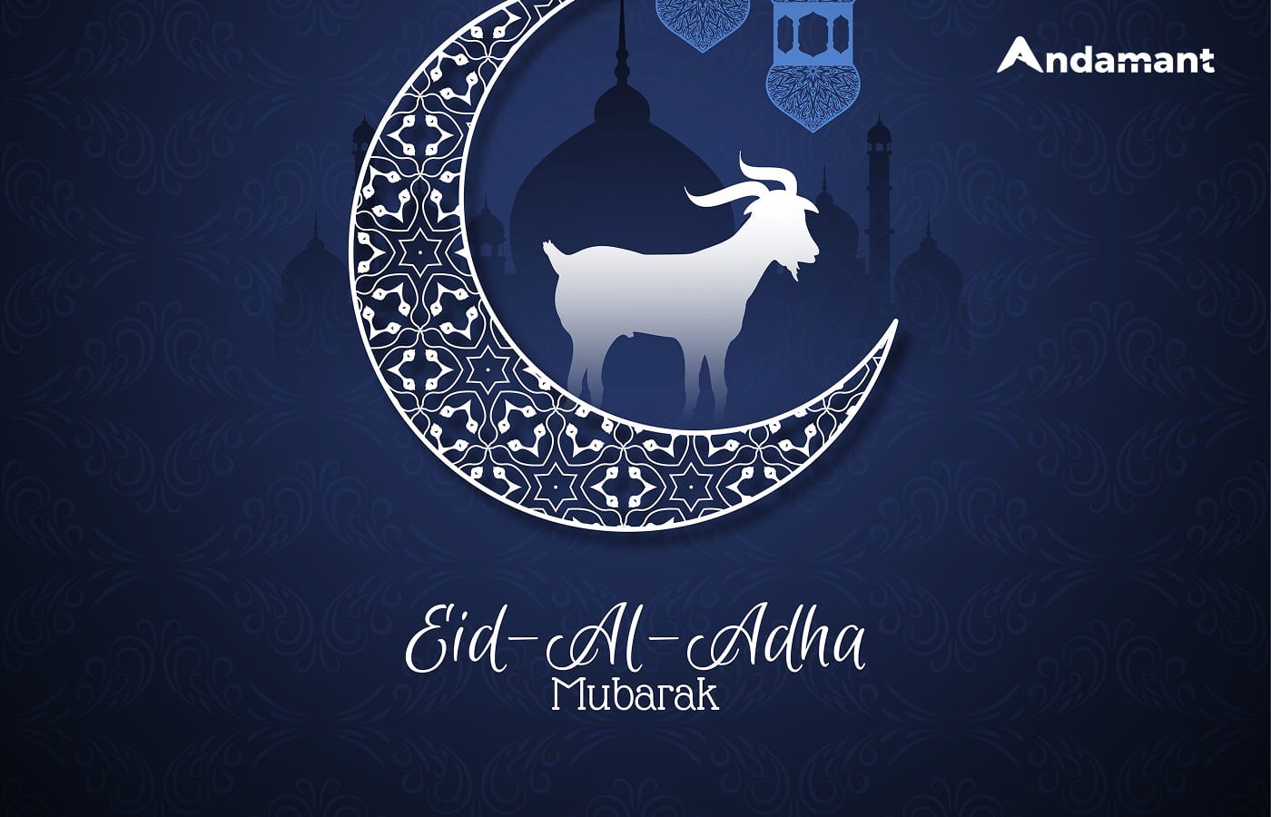Selamat Hari Raya Idul Adha 1447 H